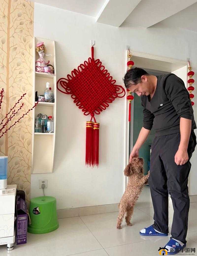 和姑父开了房子怎么办:这是一个极其复杂和尴尬的情况该如何面对
