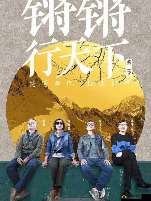 放锵锵锵锵锵锵锵锵锵铜:一场震撼心灵的独特旋律之旅