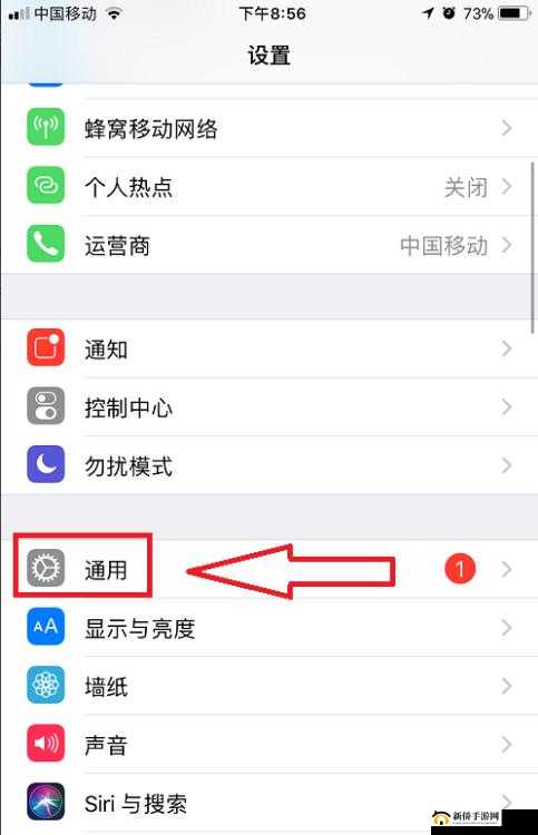 IOS玩家必看,王者荣耀下载闪退?这里有妙招!