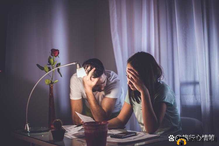 双夫 1v2 现代模式背后的社会变革及深远影响