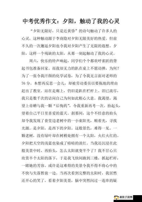 追寻真善美的心善的小 子 2:在虚拟世界中寻找心灵的归属