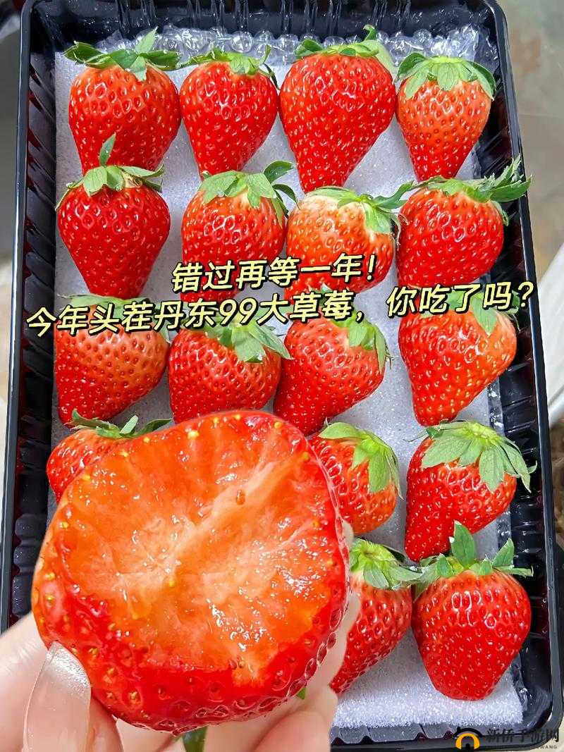 啊∽你 TM 别 了我的草莓究竟发生了什么