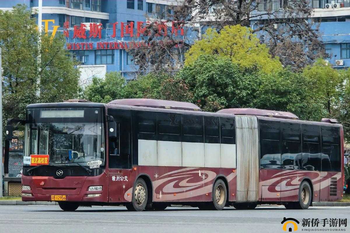 公交车上的小黄说说 1000 字:一段独特的旅程见闻
