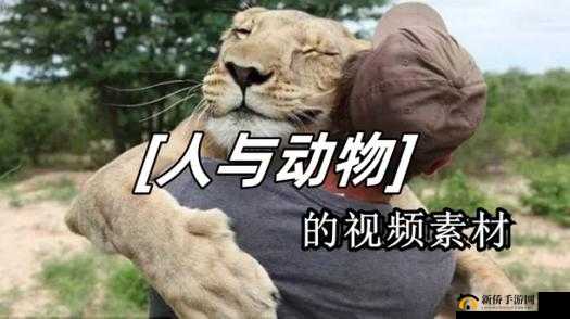 人与各种动物之间的奇妙故事与互动