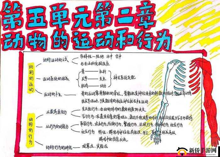 RNA 与 cDNA 杂交:从基础研究到应用的探索