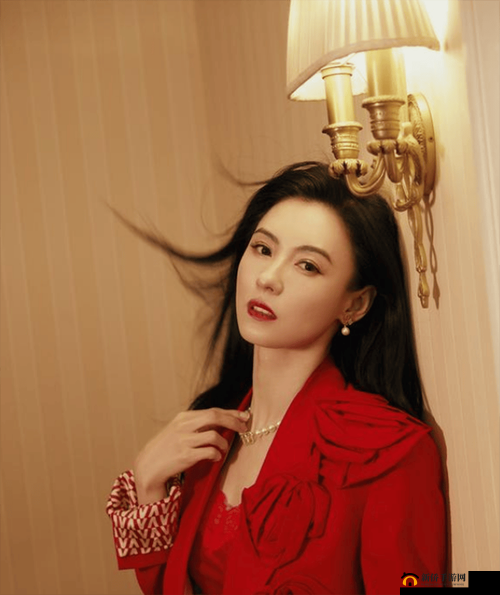 揭秘张柏芝你懂的XXXXHD：背后的故事与真相