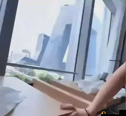 吕总张津渝落地窗酒店事件引发的深度思考