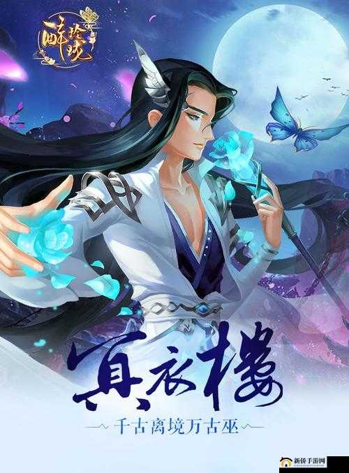 醉玲珑手游,探索与成长之旅
