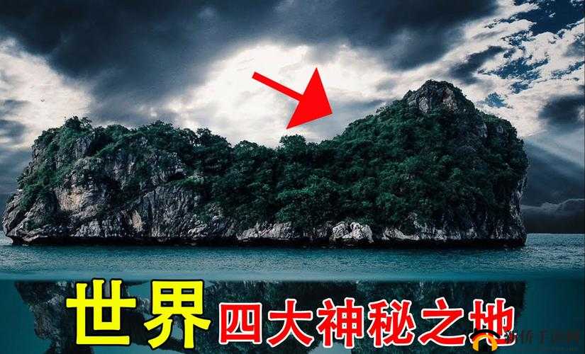 汤姆叔叔最新地域网:揭秘网络背后的神秘世界