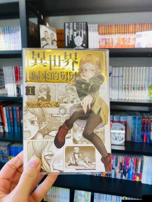 次元派漫画网页登录页面：开启精彩漫画世界的大门