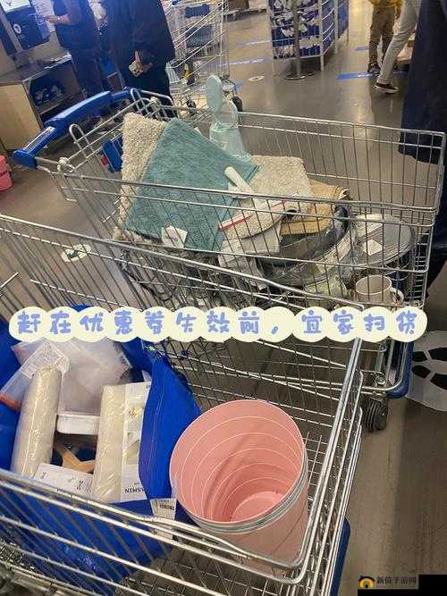 小扫货水能么多公交车引发的奇妙出行故事
