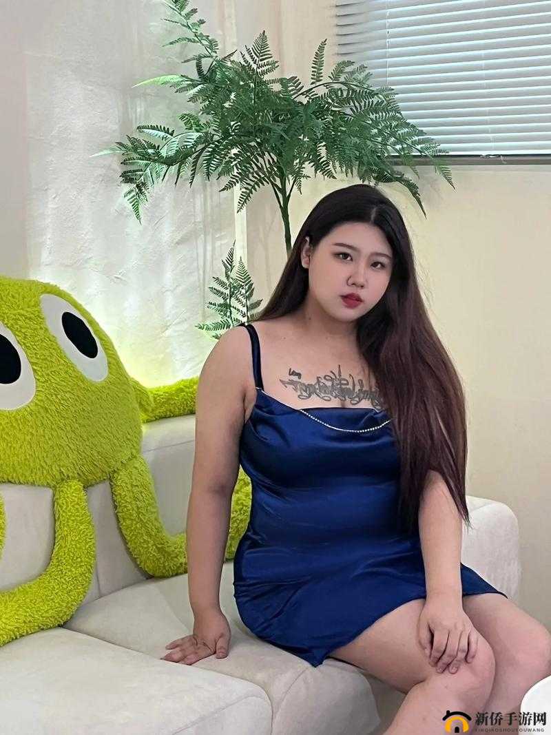 大肥女 BBW 的别样魅力与精彩故事