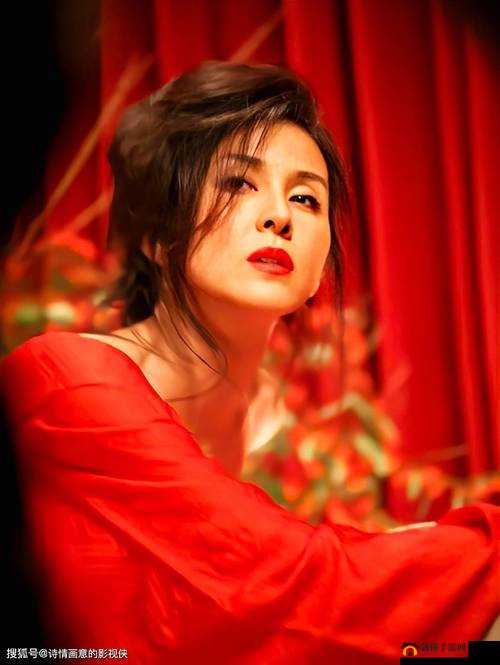 友田真希璜片:探讨成年人影片制作背后的故事