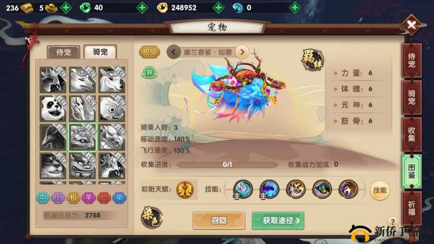 寻仙手游玩家必备，高效处理与利用多余宠物蛋的实用策略