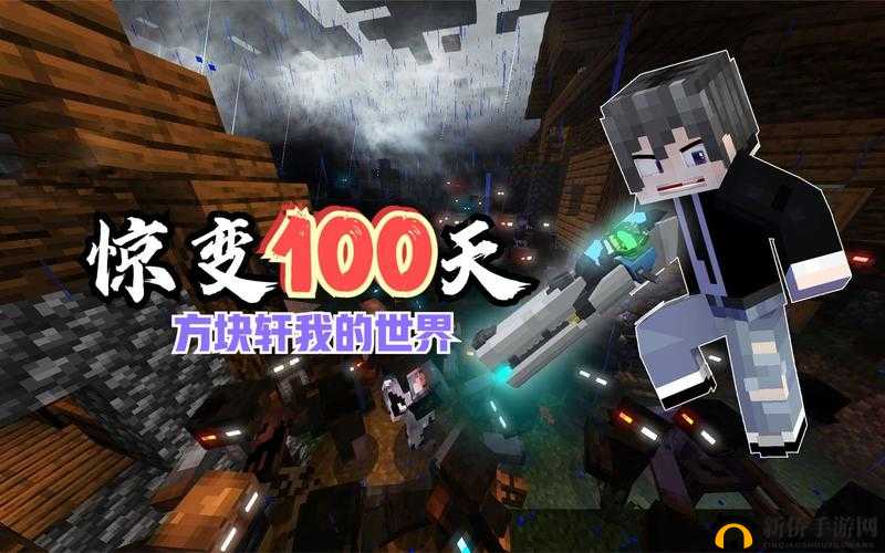 蘑菇视频老款:带你领略不一样的视频世界