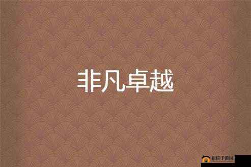 成色不凡的 Y31 :超越平凡展现卓越魅力的非凡之选