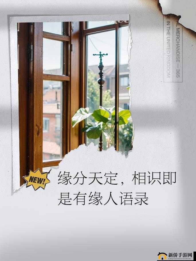 舒亚和子豪的第一次相遇是哪一集:缘分起始,浪漫初遇