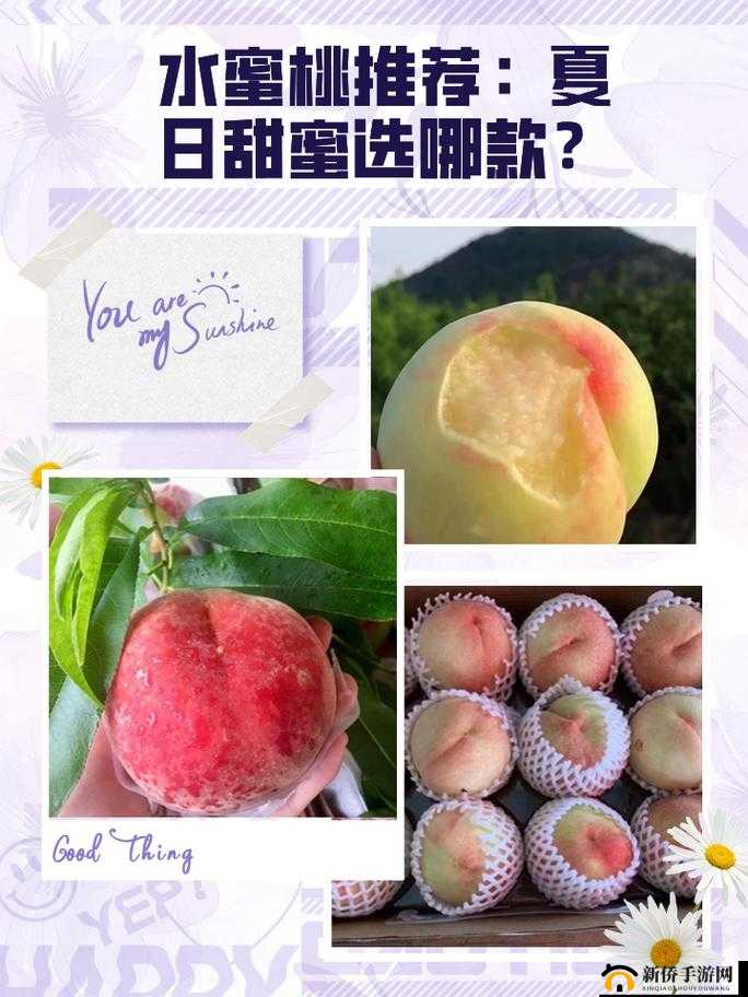 水蜜桃编码 1038：新鲜甜蜜的夏日美味之选