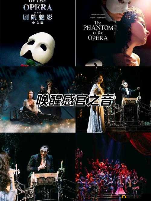 完整了解魅影视频:探寻其背后的神秘魅力与故事