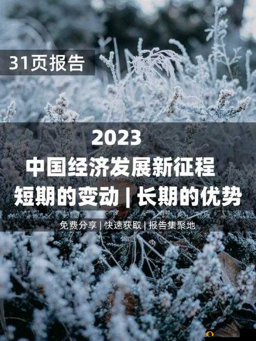 钙g同 2023:开启创新发展的全新征程与机遇
