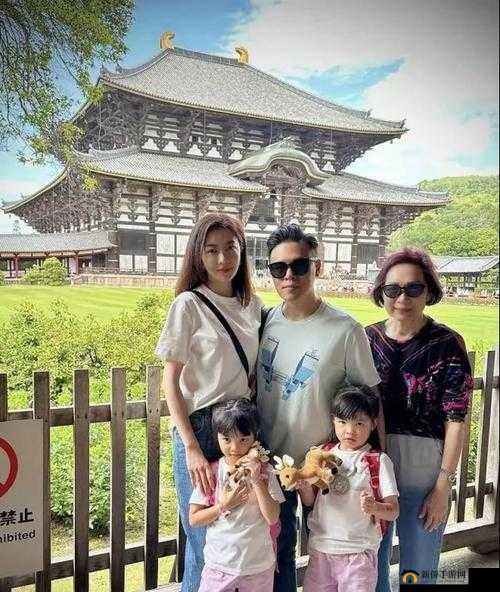 四口之家:夫妻与俩娃的奇妙换玩之旅