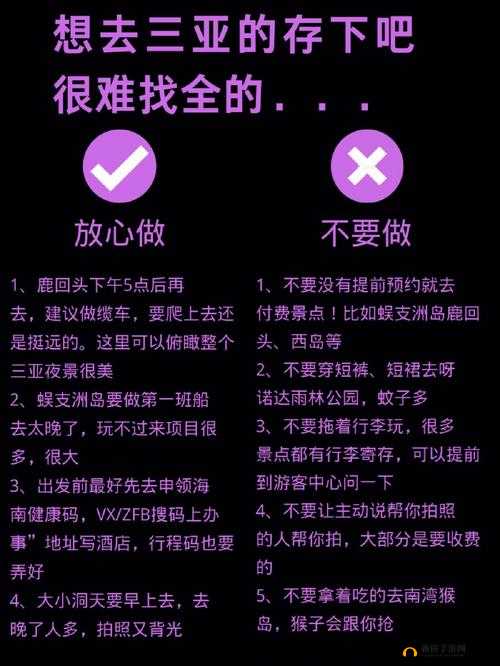 自 W 到高 C 的 25 种图:探索极致性体验奥秘