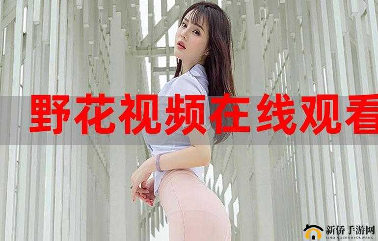 野花韩国高清在线观看：畅享极致视觉盛宴
