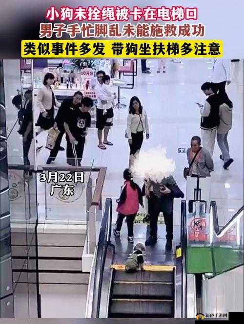 男子与爱犬被卡 6 小时,救援人员紧急施救