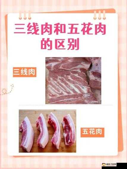精品一区、二线、三线的区别究竟在哪里?