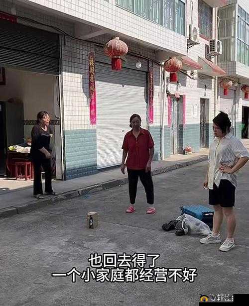 回娘家给老爹灭火视频：一场亲情与怒火的碰撞之旅