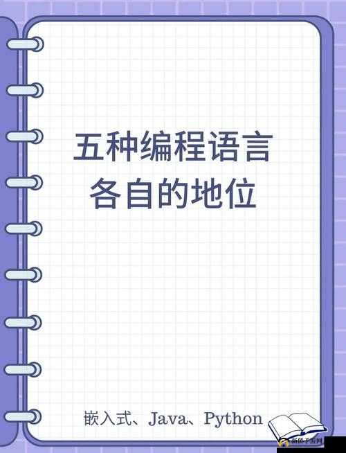 口舌添泬VK :带你领略独特的语言魅力之旅