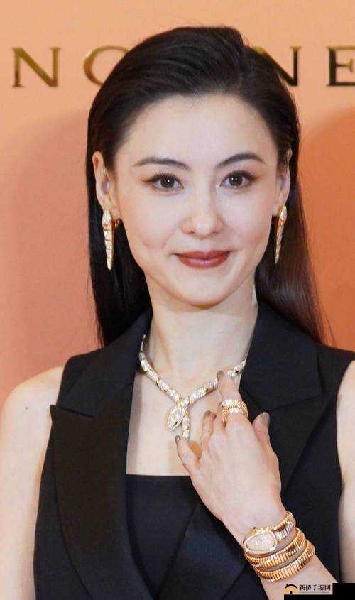张柏芝导航：带你领略不一样的精彩世界