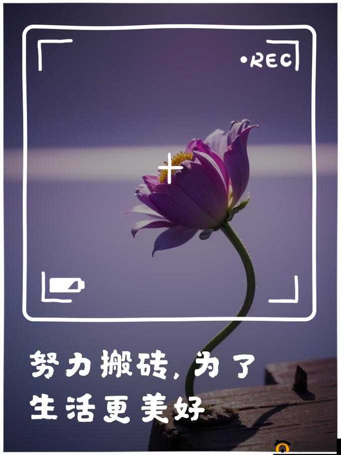 尝到了甜头两人每天都会想方设法努力创造更美好生活