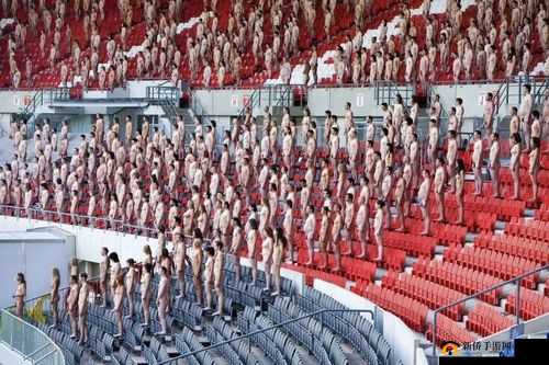 男女裸体 AAAAA 片：探索极致感官盛宴