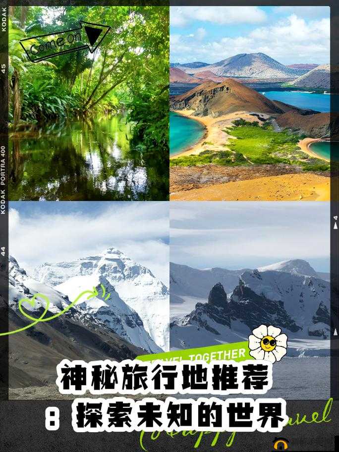 让我探索你的茂盛丛林：开启神秘未知的世界