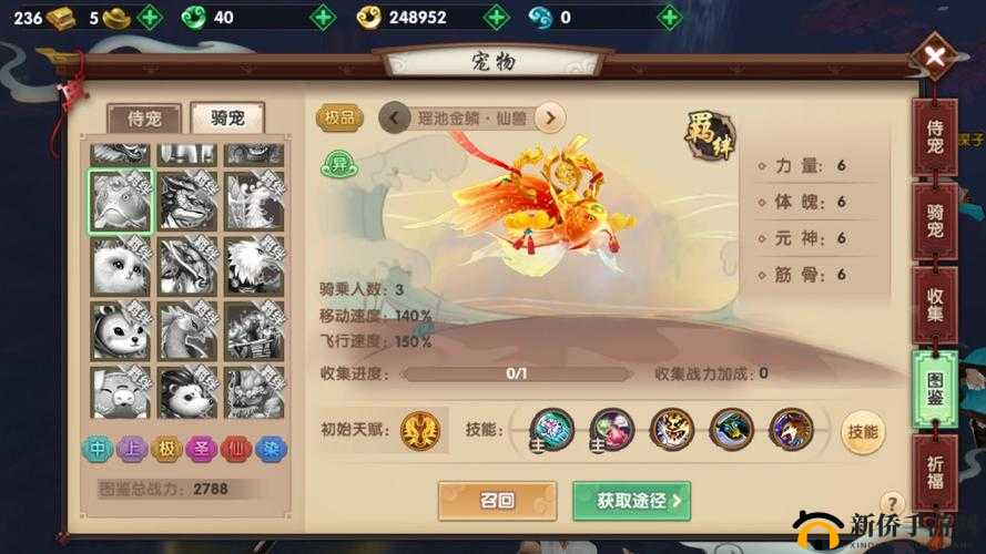 寻仙手游宠物战力提升技巧