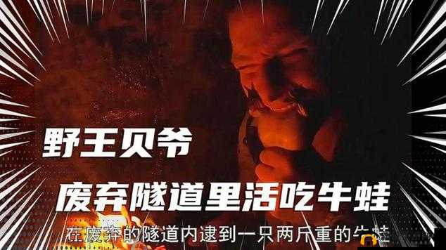 糙汉表哥深山打野鸡,讲述荒野求生秘诀