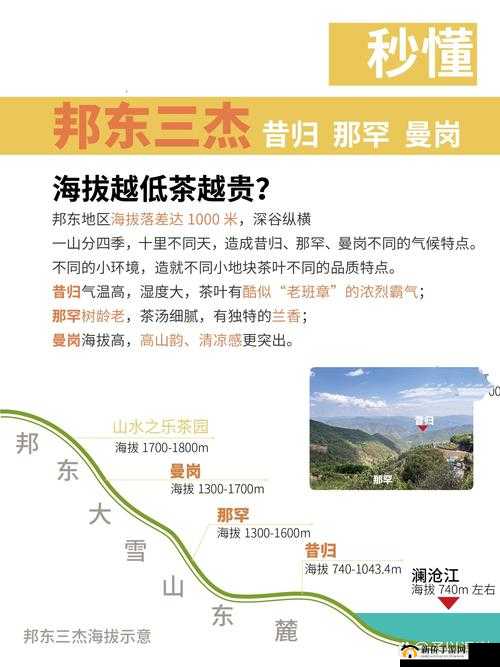 久一线产区、二线产区、三线产区的发展现状与趋势探讨