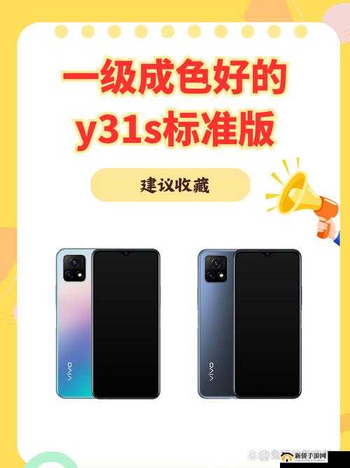 成色好的 Y31S 标准版视频:展现卓越品质与独特魅力