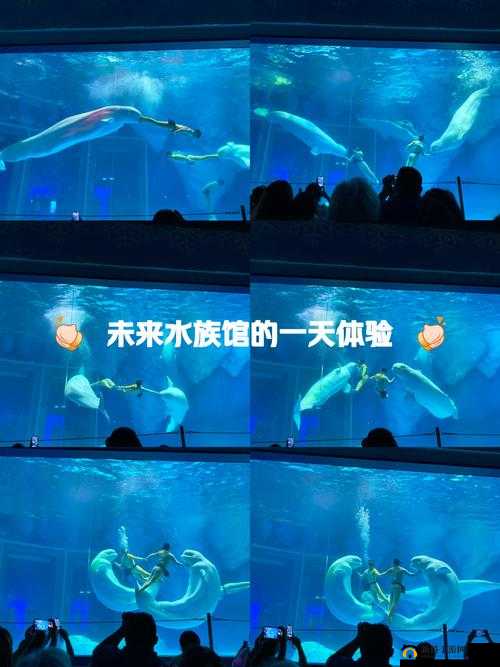 爽 躁多水 快 深点明日见未来:激情探索未知的奇妙之旅