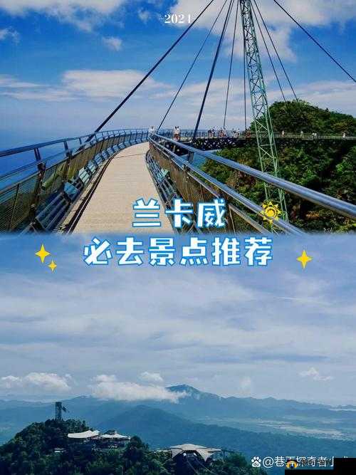 接了一个令人惊叹的巨大客人:开启奇妙之旅