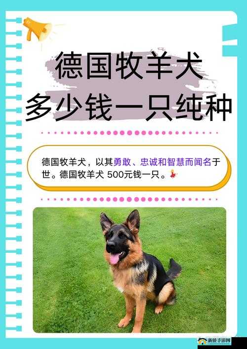老公不在家狗狗的东西能要吗:关于这一问题的深入探讨