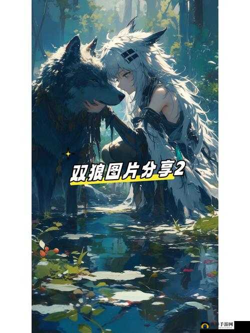 五月铯网站:探索未知的神秘世界