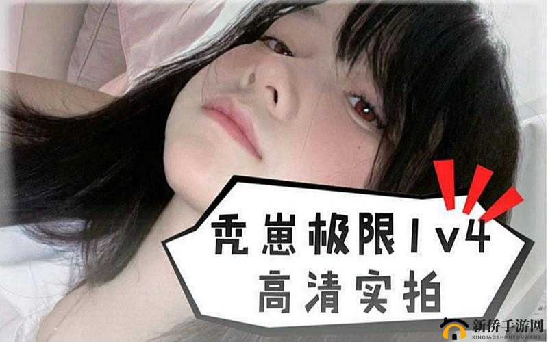 秃崽战斗视频在哪里看:全网最全搜索指南