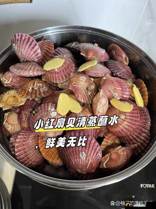 快让我尽情享用你的美味小扇贝呀