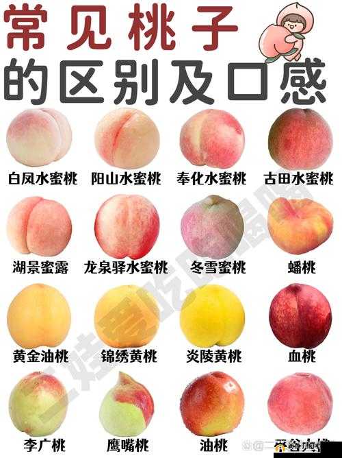 巨无霸水蜜桃 4399：鲜美多汁口感佳的水果之选