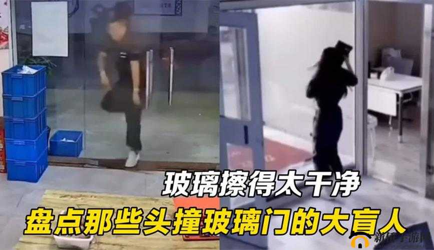 9 分 51 秒头撞玻璃:令人震惊的疯狂举动背后原因探究
