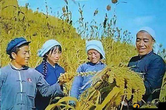 中国农村一级髦片:展现真实农村生活的珍贵影像