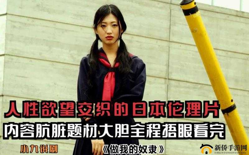13277 日本大胆相关内容引发热议探讨