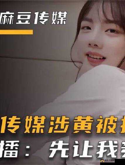 麻豆传煤入口免费进入2023:探寻其背后的奥秘与影响